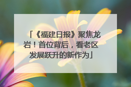 《福建日报》聚焦龙岩！首位背后，看老区发展跃升的新作为
