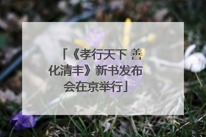 《孝行天下 善化清丰》新书发布会在京举行