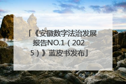 《安徽数字法治发展报告NO.1（2025）》蓝皮书发布