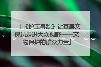 《护宝寻踪》让基层文保员走进大众视野——文物保护的群众力量
