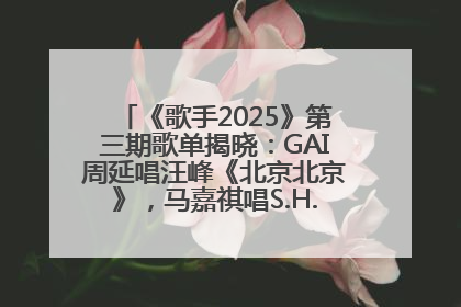 《歌手2025》第三期歌单揭晓：GAI周延唱汪峰《北京北京》，马嘉祺唱S.H.E《你曾是少年》