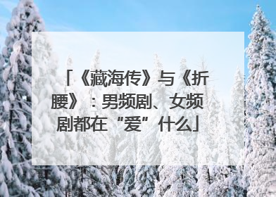 《藏海传》与《折腰》：男频剧、女频剧都在“爱”什么