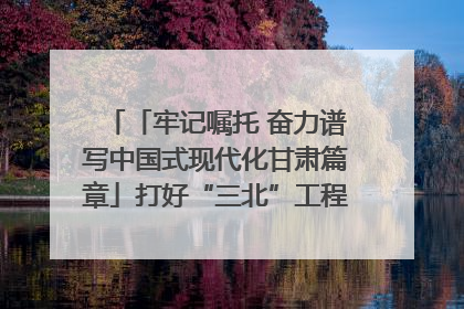 「牢记嘱托 奋力谱写中国式现代化甘肃篇章」打好“三北”工程攻坚战 筑牢国家西部生态安全屏障