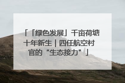 「绿色发展」千亩荷塘 十年新生｜四任航空村官的“生态接力”