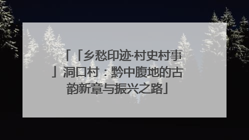 「乡愁印迹·村史村事」洞口村：黔中腹地的古韵新章与振兴之路