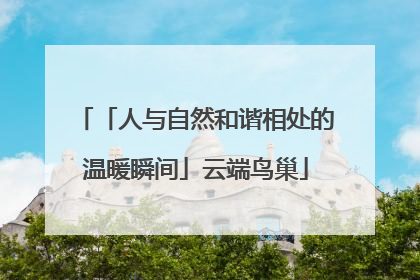 「人与自然和谐相处的温暖瞬间」云端鸟巢