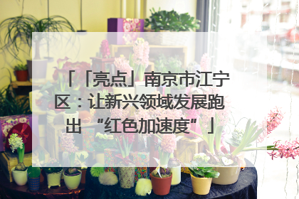 「亮点」南京市江宁区：让新兴领域发展跑出 “红色加速度”