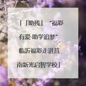 「助残」“福彩有爱·助学追梦” 临沂福彩走进莒南新光启智学校