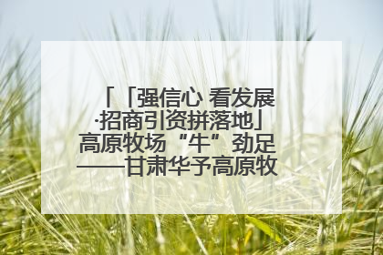 「强信心 看发展·招商引资拼落地」高原牧场“牛”劲足——甘肃华予高原牧场高标准奶牛肉牛养殖项目一线见闻