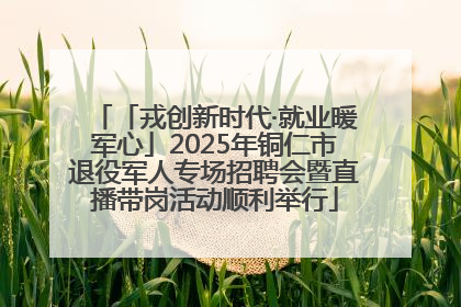 「戎创新时代·就业暖军心」2025年铜仁市退役军人专场招聘会暨直播带岗活动顺利举行