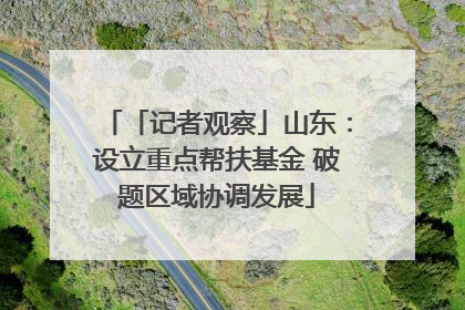 「记者观察」山东：设立重点帮扶基金 破题区域协调发展