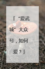 “爱武城”大众号，如何爱？