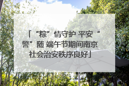 “粽”情守护 平安“警”随 端午节期间南京社会治安秩序良好