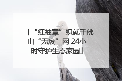 “红袖章”织就千佛山“无废”网 24小时守护生态家园
