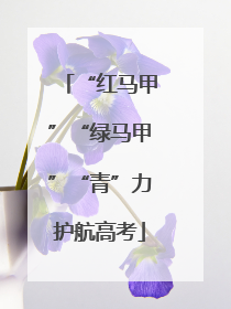 “红马甲”“绿马甲”“青”力护航高考