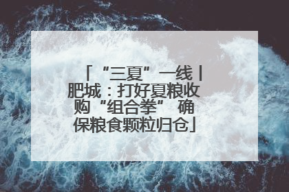 “三夏”一线丨肥城：打好夏粮收购“组合拳” 确保粮食颗粒归仓