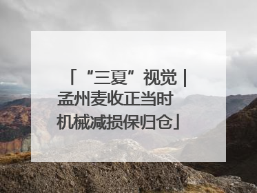 “三夏”视觉｜孟州麦收正当时 机械减损保归仓