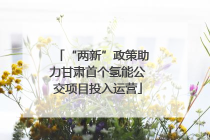 “两新”政策助力甘肃首个氢能公交项目投入运营