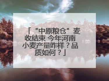 “中原粮仓”麦收结束 今年河南小麦产量咋样？品质如何？