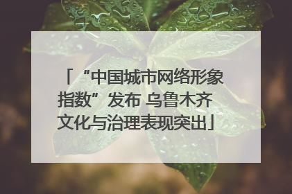 “中国城市网络形象指数”发布 乌鲁木齐文化与治理表现突出