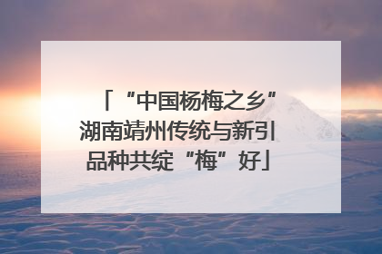 “中国杨梅之乡”湖南靖州传统与新引品种共绽“梅”好