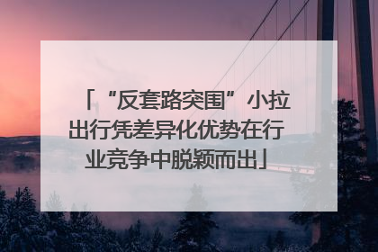 “反套路突围”小拉出行凭差异化优势在行业竞争中脱颖而出