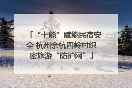 “十能”赋能民宿安全 杭州余杭四岭村织密旅游“防护网”