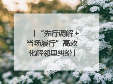 “先行调解＋当场履行”高效化解邻里纠纷