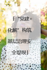 “党建+化解”构筑基层治理安全堤坝