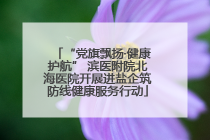 “党旗飘扬·健康护航” 滨医附院北海医院开展进盐企筑防线健康服务行动