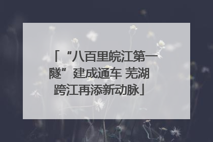 “八百里皖江第一隧”建成通车 芜湖跨江再添新动脉
