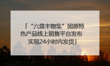 “六盘丰物集”固原特色产品线上销售平台发布 实现24小时内发货