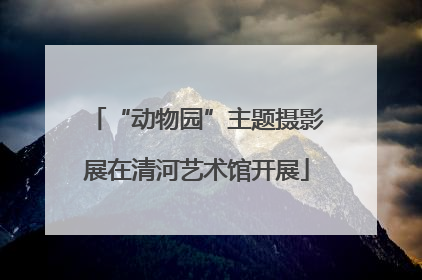 “动物园”主题摄影展在清河艺术馆开展