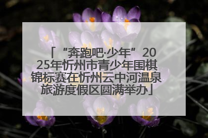 “奔跑吧·少年”2025年忻州市青少年围棋锦标赛在忻州云中河温泉旅游度假区圆满举办