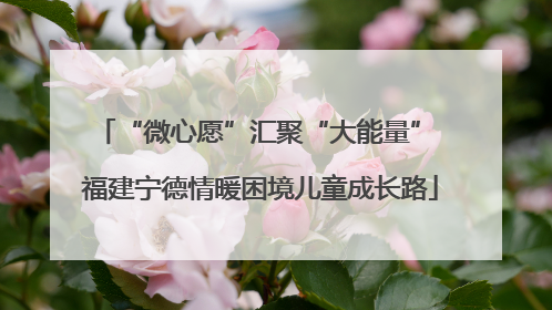 “微心愿”汇聚“大能量” 福建宁德情暖困境儿童成长路