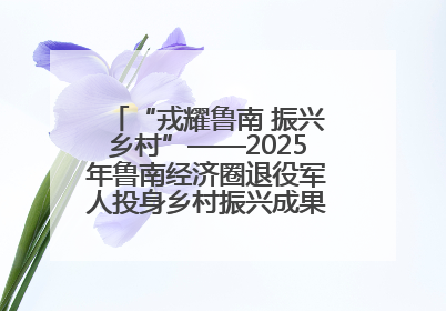“戎耀鲁南 振兴乡村”——2025年鲁南经济圈退役军人投身乡村振兴成果展销会盛大启幕