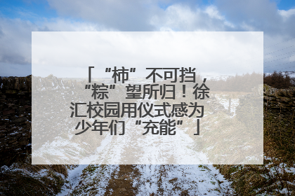 “柿”不可挡，“粽”望所归！徐汇校园用仪式感为少年们“充能”