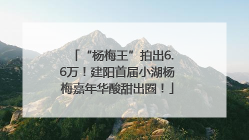 “杨梅王”拍出6.6万！建阳首届小湖杨梅嘉年华酸甜出圈！