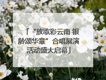 “放歌彩云南 银龄颂华章”合唱展演活动盛大启幕