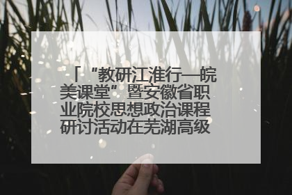 “教研江淮行—皖美课堂”暨安徽省职业院校思想政治课程研讨活动在芜湖高级职业技术学校举行