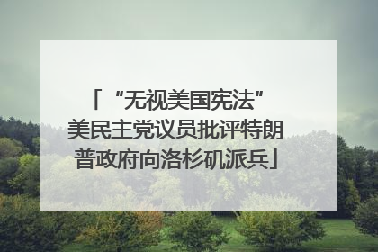 “无视美国宪法” 美民主党议员批评特朗普政府向洛杉矶派兵