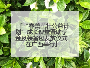 “春蕾茁壮公益计划”成长课堂暨助学金及装备包发放仪式在广西举行
