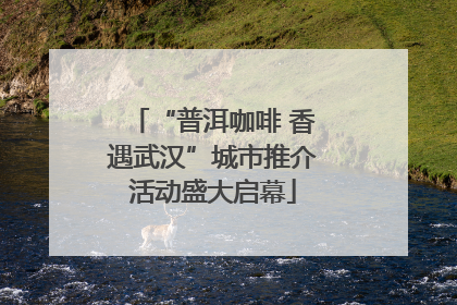 “普洱咖啡 香遇武汉”城市推介活动盛大启幕