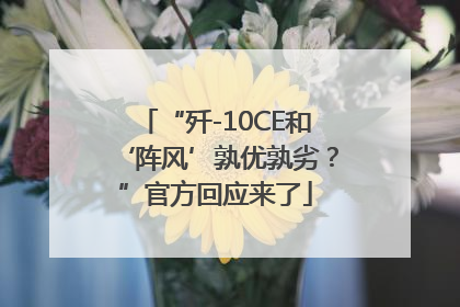 “歼-10CE和‘阵风’孰优孰劣？”官方回应来了
