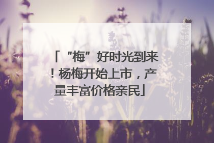 “梅”好时光到来！杨梅开始上市，产量丰富价格亲民