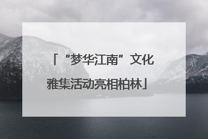 “梦华江南”文化雅集活动亮相柏林