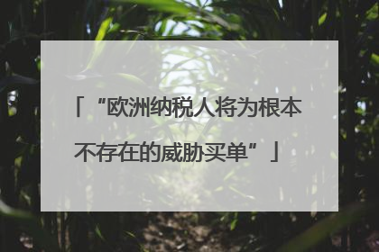 “欧洲纳税人将为根本不存在的威胁买单”