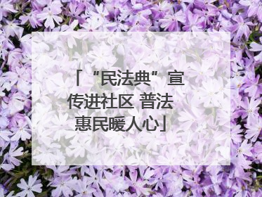 “民法典”宣传进社区 普法惠民暖人心