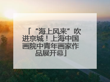“海上风来”吹进京城！上海中国画院中青年画家作品展开幕