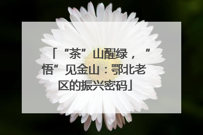 “茶”山醒绿，“悟”见金山：鄂北老区的振兴密码